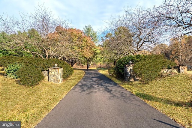 1126 F T Valley Rd, Sperryville, VA 22740 - view of asphalt road