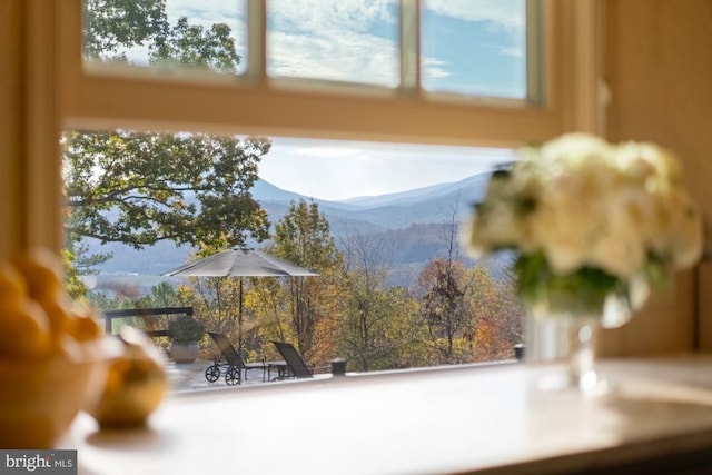 1126 F T Valley Rd, Sperryville, VA 22740 - detailed view of a mountain view