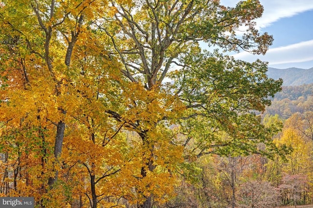 1126 F T Valley Rd, Sperryville, VA 22740 - view of wooded area featuring a mountain view