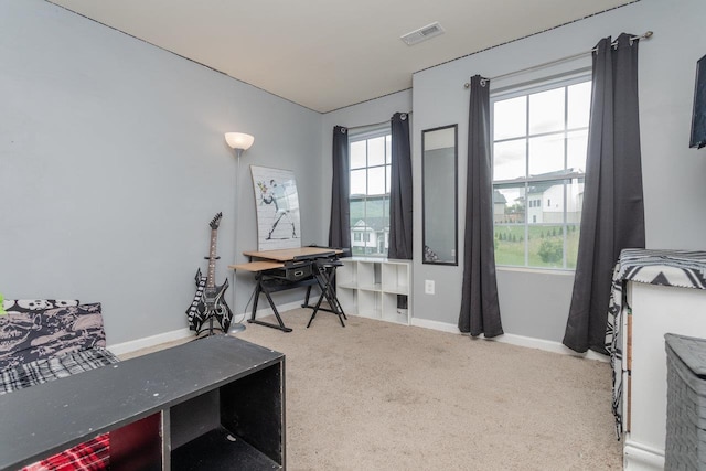 160 Jillian Ln, Penn Laird, VA 22846 - photo 43