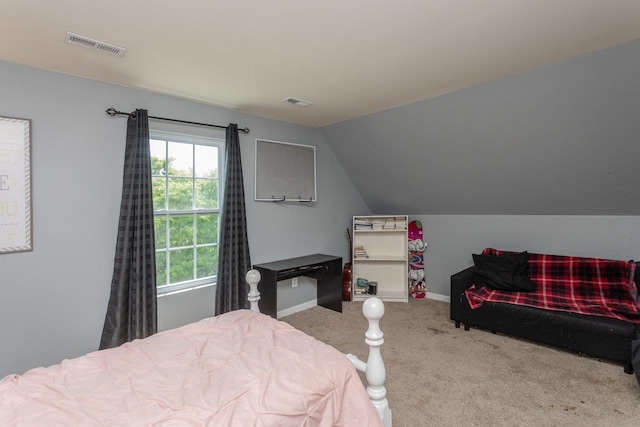 160 Jillian Ln, Penn Laird, VA 22846 - photo 47