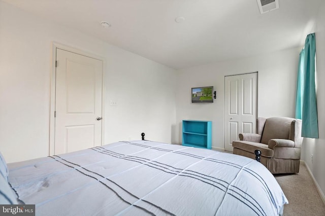 5014 Godwins Landing Dr, Remington, VA 22734 - bedroom featuring carpet floors and a closet