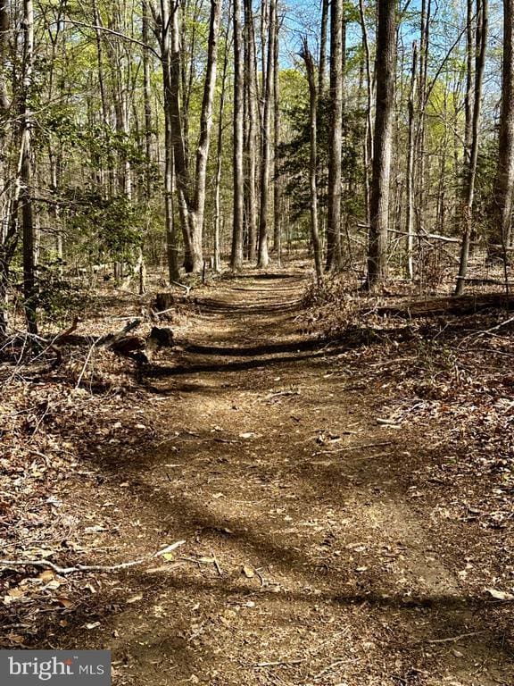 14407 Spotswood Furnace Rd, Fredericksburg, VA 22407 - photo 45