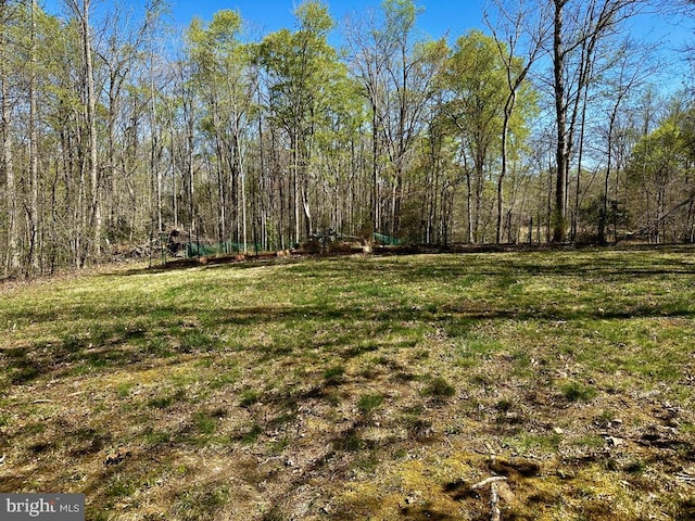 14407 Spotswood Furnace Rd, Fredericksburg, VA 22407 - photo 46