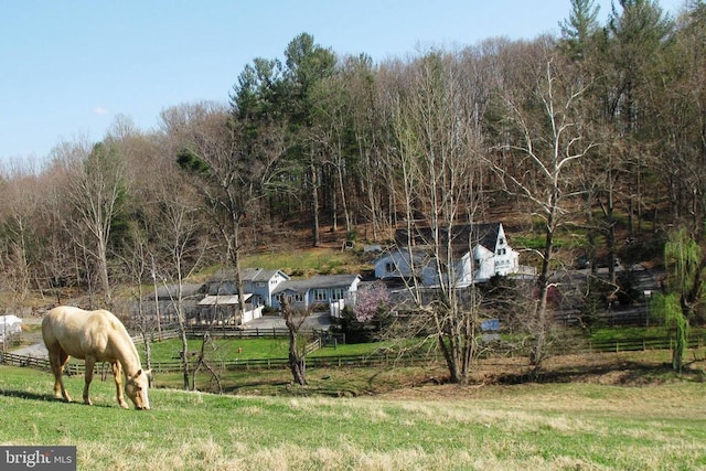 20 Victory Ln, Castleton, VA 22716 - photo 1