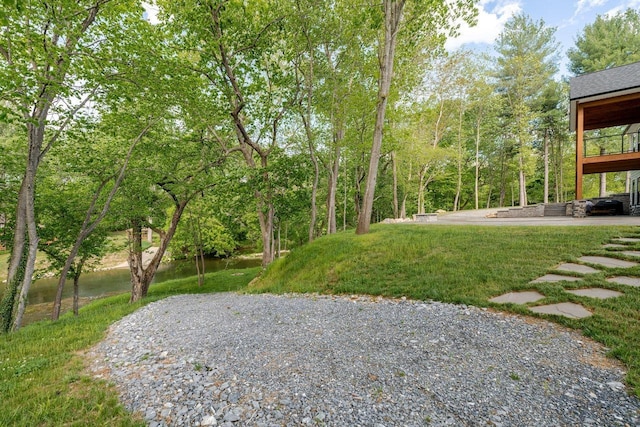 10 Samuel Bears Rd, Weyers Cave, VA 24486 - view of yard