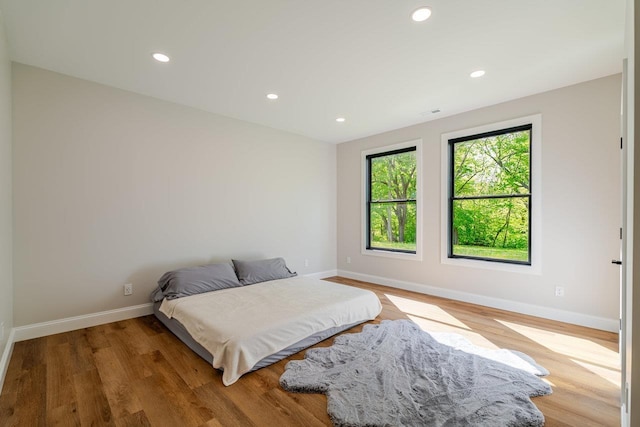 10 Samuel Bears Rd, Weyers Cave, VA 24486 - bedroom featuring baseboards, light wood-style floors, and recessed lighting