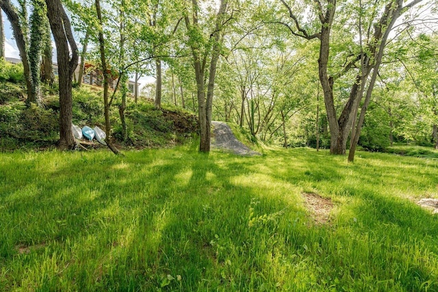 10 Samuel Bears Rd, Weyers Cave, VA 24486 - view of yard