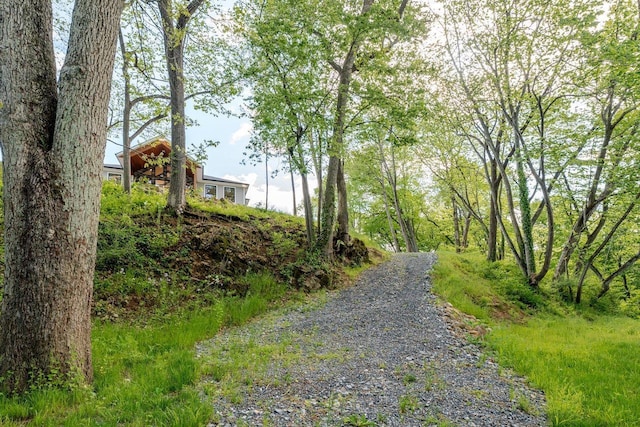 10 Samuel Bears Rd, Weyers Cave, VA 24486 - view of dirt / gravel road