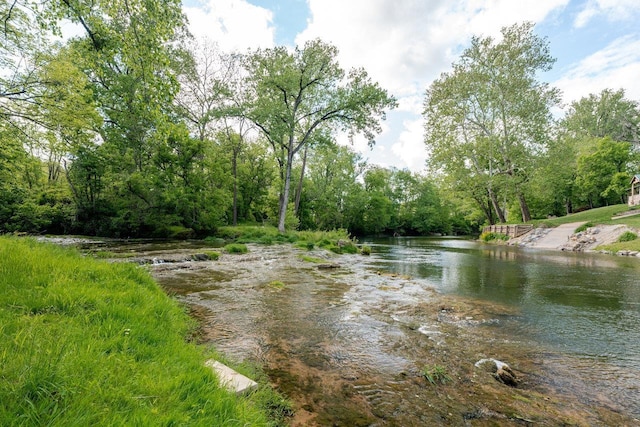 10 Samuel Bears Rd, Weyers Cave, VA 24486 - water view