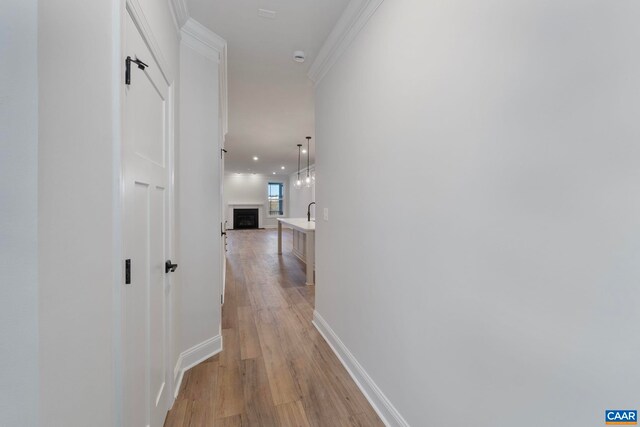 1331 Laconia Ln, Charlottesville, VA 22911 - photo 8