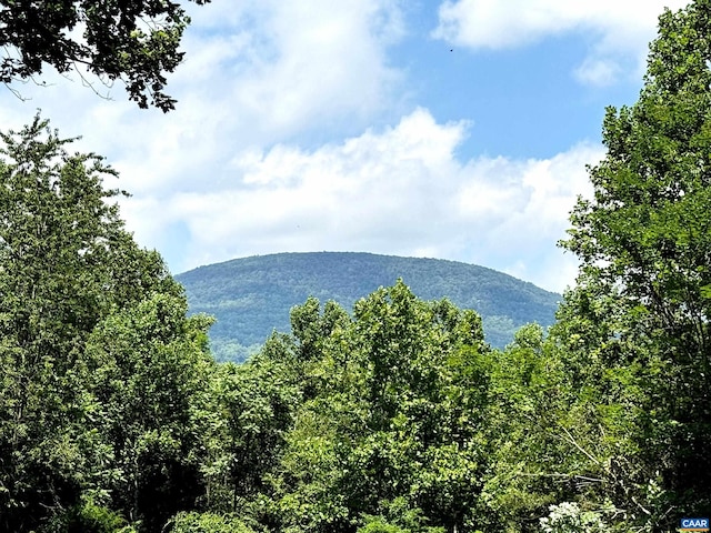 28 Lotties Ln, Nellysford, VA 22958 - photo 2
