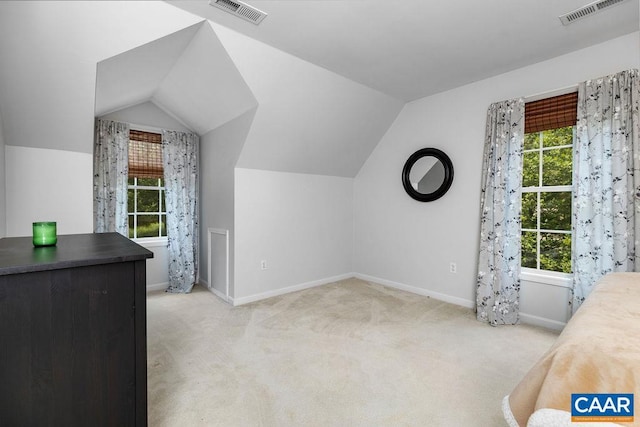 28 Lotties Ln, Nellysford, VA 22958 - photo 41