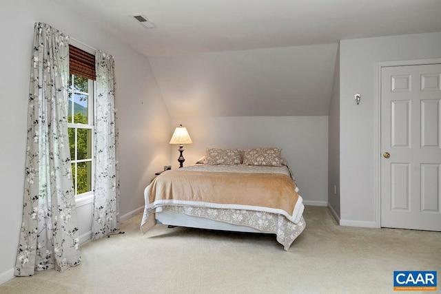 28 Lotties Ln, Nellysford, VA 22958 - photo 42