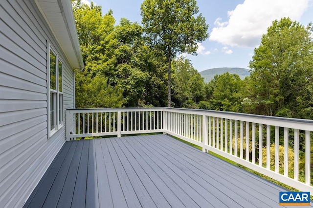 28 Lotties Ln, Nellysford, VA 22958 - photo 47