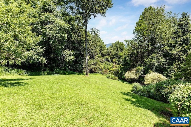 28 Lotties Ln, Nellysford, VA 22958 - photo 8
