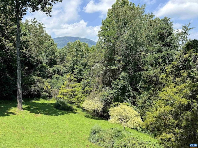 28 Lotties Ln, Nellysford, VA 22958 - photo 7