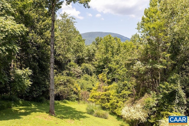 28 Lotties Ln, Nellysford, VA 22958 - photo 45