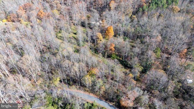 Pine Torch, Madison, VA 22727