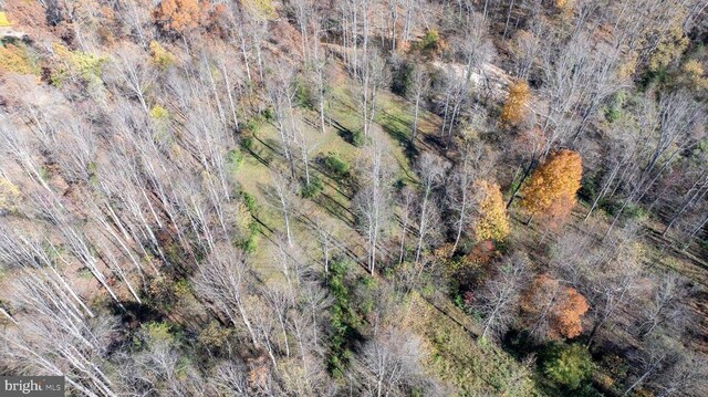 Pine Torch, Madison, VA 22727