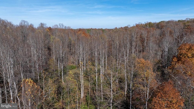 Pine Torch, Madison, VA 22727