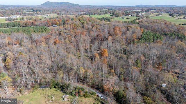 Pine Torch, Madison, VA 22727