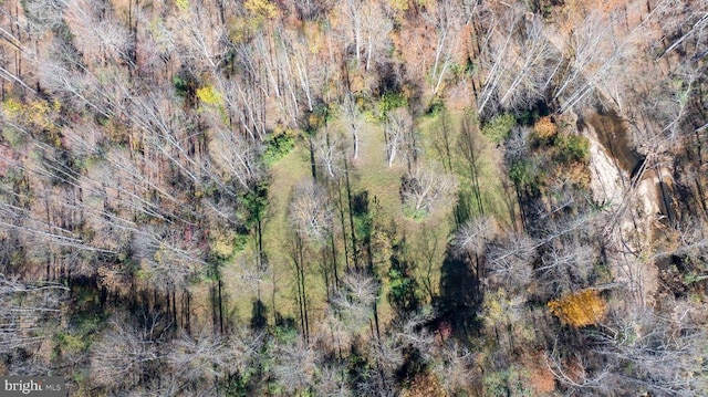 Pine Torch, Madison, VA 22727