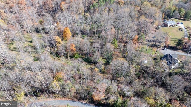 Pine Torch, Madison, VA 22727