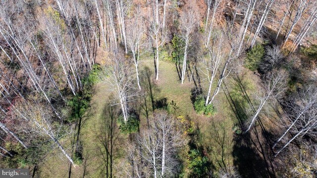 Pine Torch, Madison, VA 22727