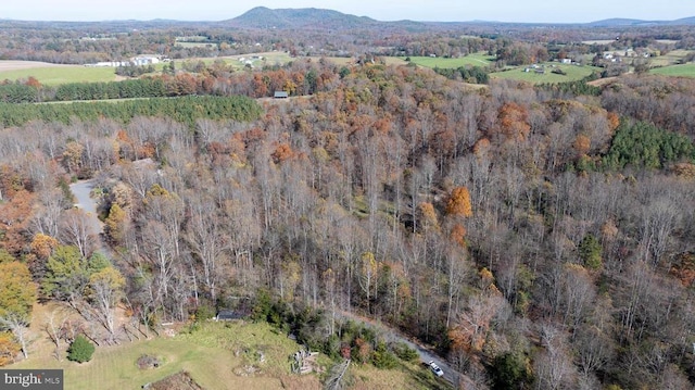 Pine Torch, Madison, VA 22727