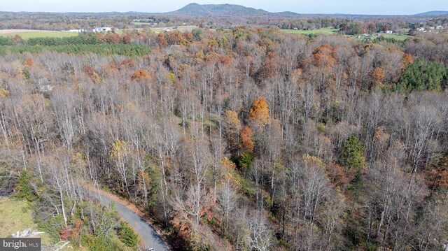 Pine Torch, Madison, VA 22727