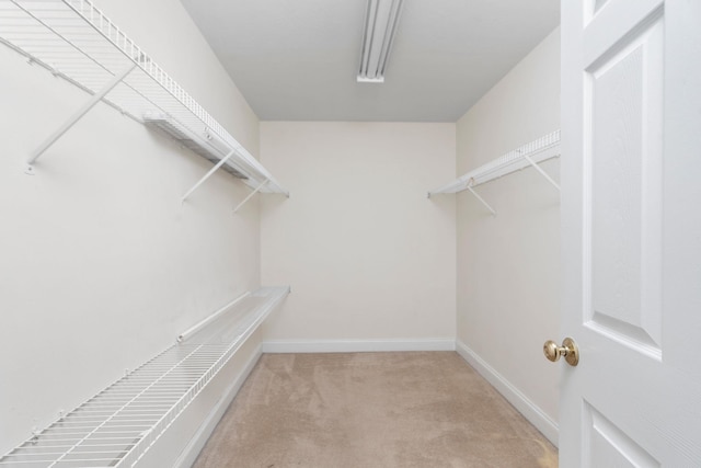 47 Villa View Dr, Staunton, VA 24401 - walk in closet with carpet floors