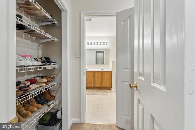 10108 Chesney Dr, Spotsylvania, VA 22553 - spacious closet featuring light floors