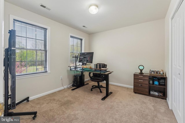 10108 Chesney Dr, Spotsylvania, VA 22553 - carpeted home office featuring healthy amount of natural light and baseboards
