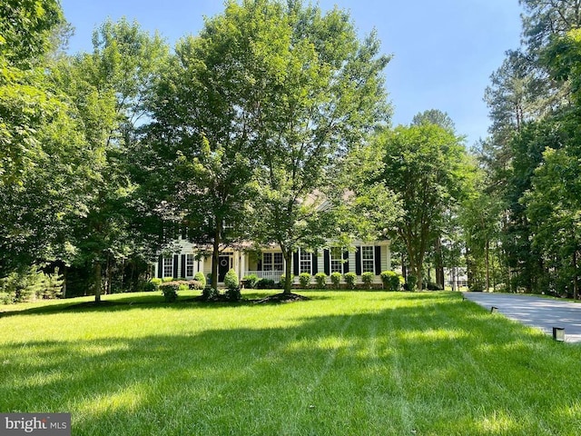 11304 Chivalry Chase Ln, Spotsylvania, VA 22551 - photo 63
