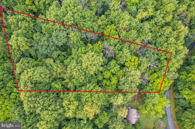 233 Stone Chimneys Rd, Nellysford, VA 22958