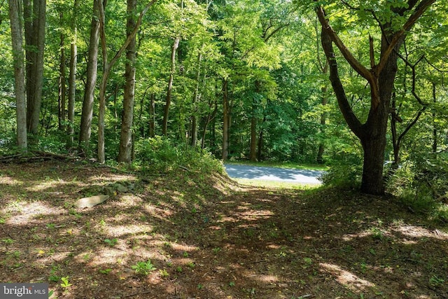 233 Stone Chimneys Rd, Nellysford, VA 22958