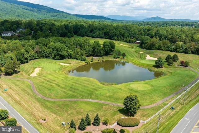 233 Stone Chimneys Rd, Nellysford, VA 22958