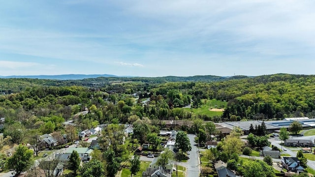 105 Austin Ave, Staunton, VA 24401 - aerial perspective of suburban area featuring a heavily wooded area