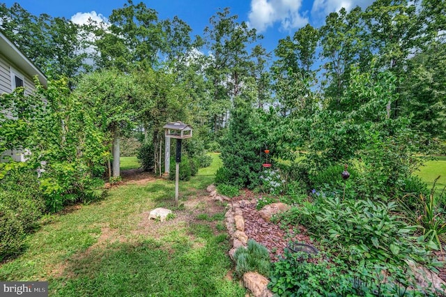 29288 Old Office Rd, Rhoadesville, VA 22542 - photo 41