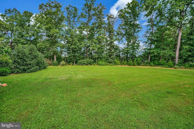 29288 Old Office Rd, Rhoadesville, VA 22542 - photo 38