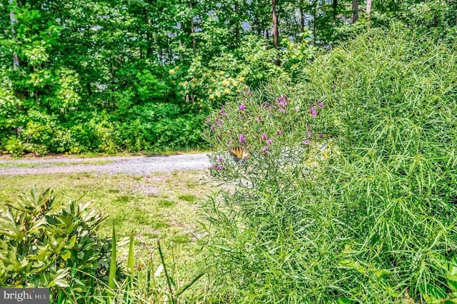 29288 Old Office Rd, Rhoadesville, VA 22542 - photo 36