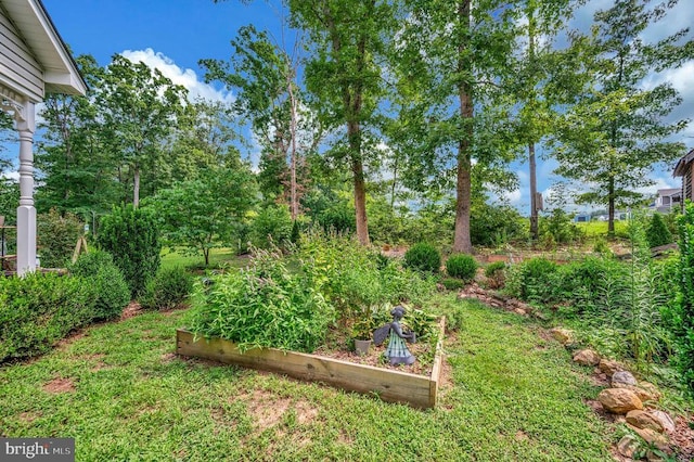 29288 Old Office Rd, Rhoadesville, VA 22542 - photo 44