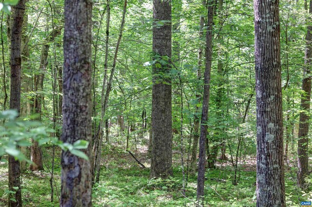 LOTE Link Evans Lane, Earlysville, VA 22936 - photo 4