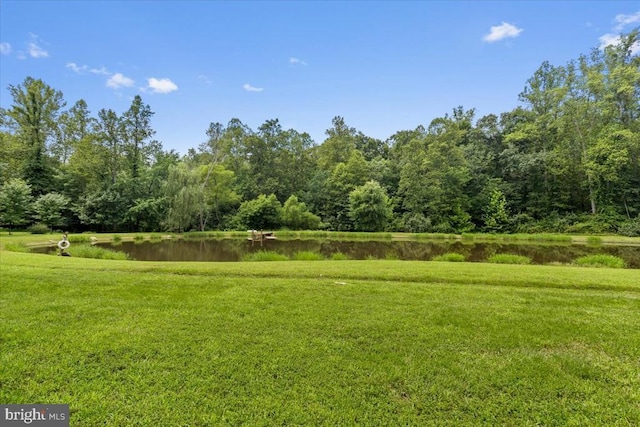 18299 Ragtop Rd, Jeffersonton, VA 22724 - photo 72