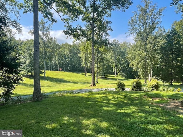 18299 Ragtop Rd, Jeffersonton, VA 22724 - photo 9
