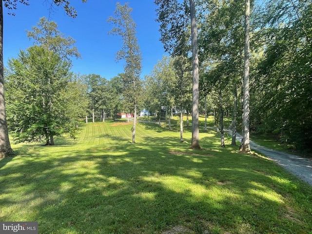 18299 Ragtop Rd, Jeffersonton, VA 22724 - photo 6