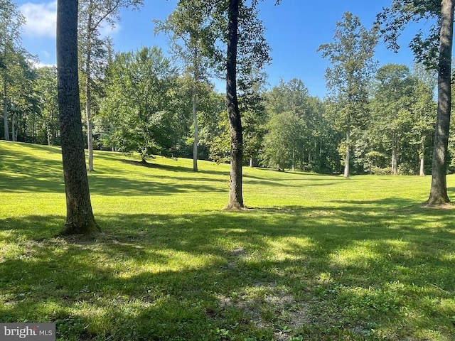 18299 Ragtop Rd, Jeffersonton, VA 22724 - photo 8