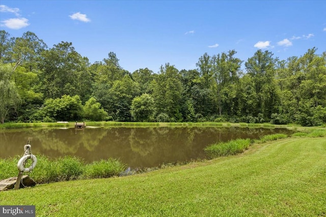 18299 Ragtop Rd, Jeffersonton, VA 22724 - photo 73