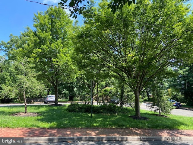 20 Calhoun St N, Warrenton, VA 20186 - view of grassy yard